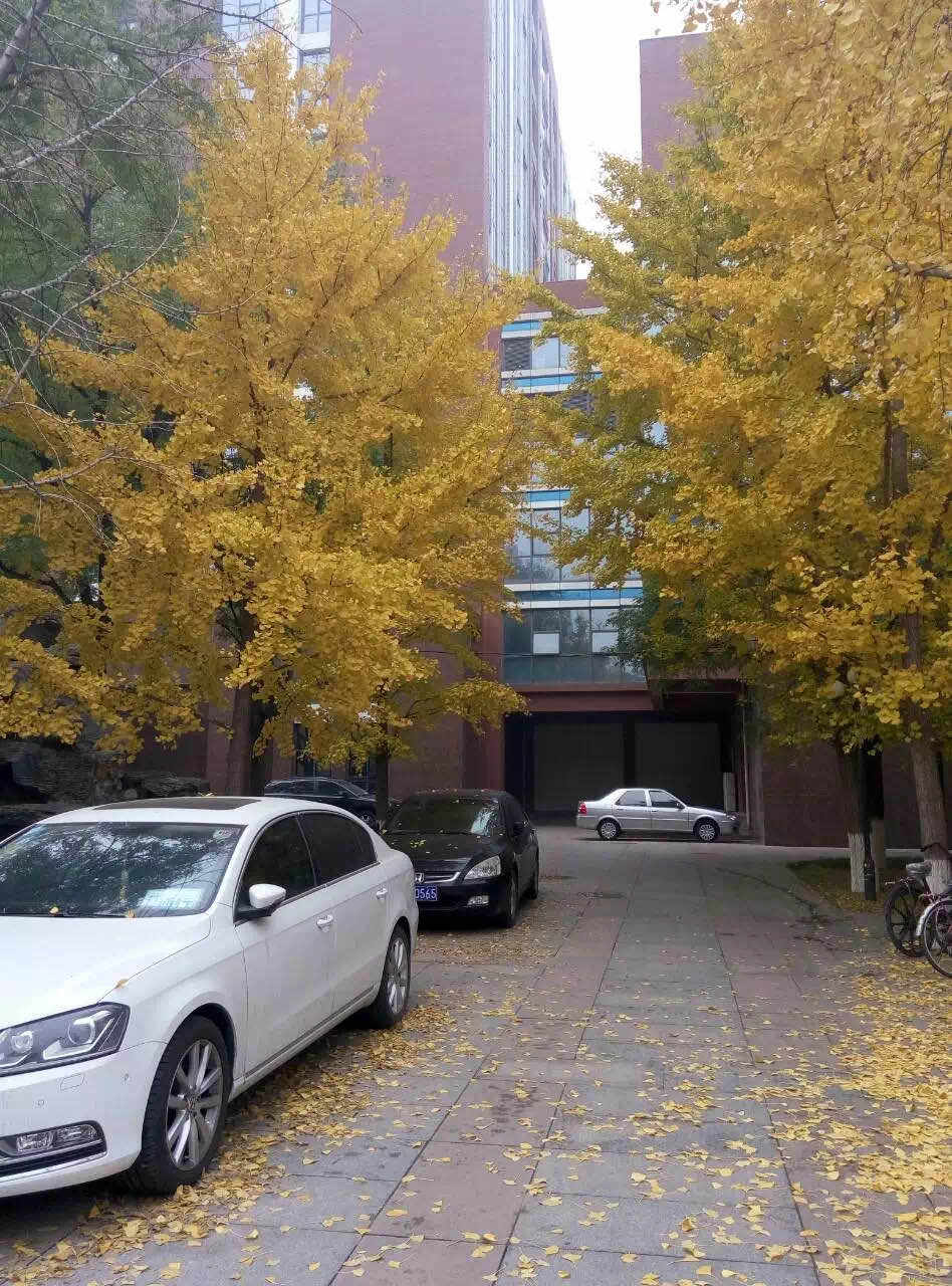遇见 挑战赛 有奖 交易 倾心 热力