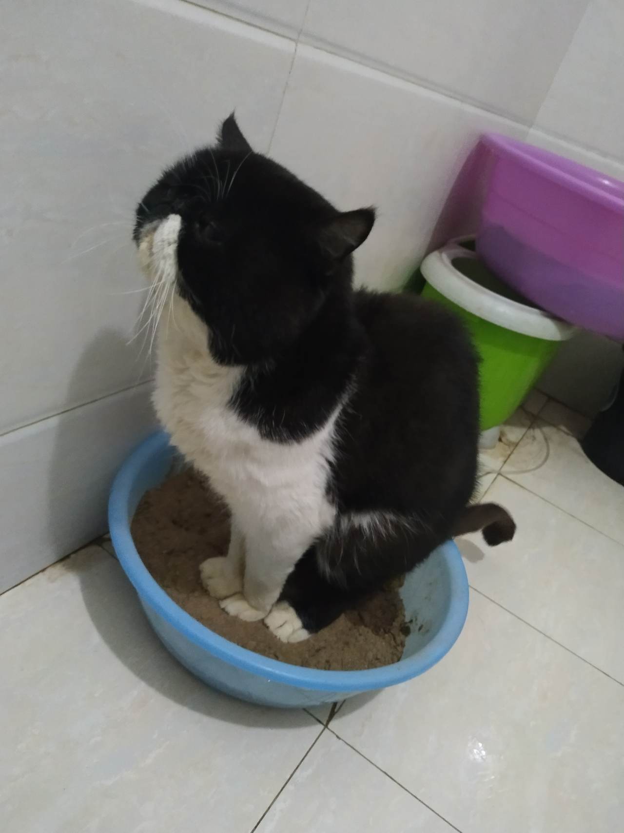 账号 交易 控制 利润 时间 看盘