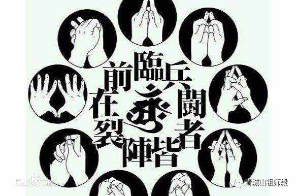 震荡 暴涨 飞吻 爆仓 预判 甜枣
