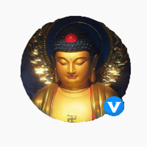 三毛 交易 止损 分析 点金 分享