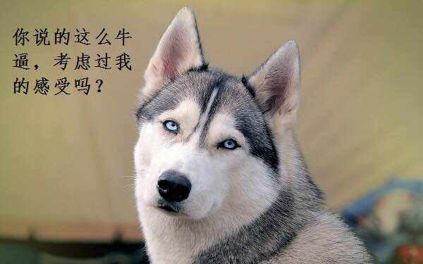 单子 交易员 社区 身心状态 账户 瞎搞