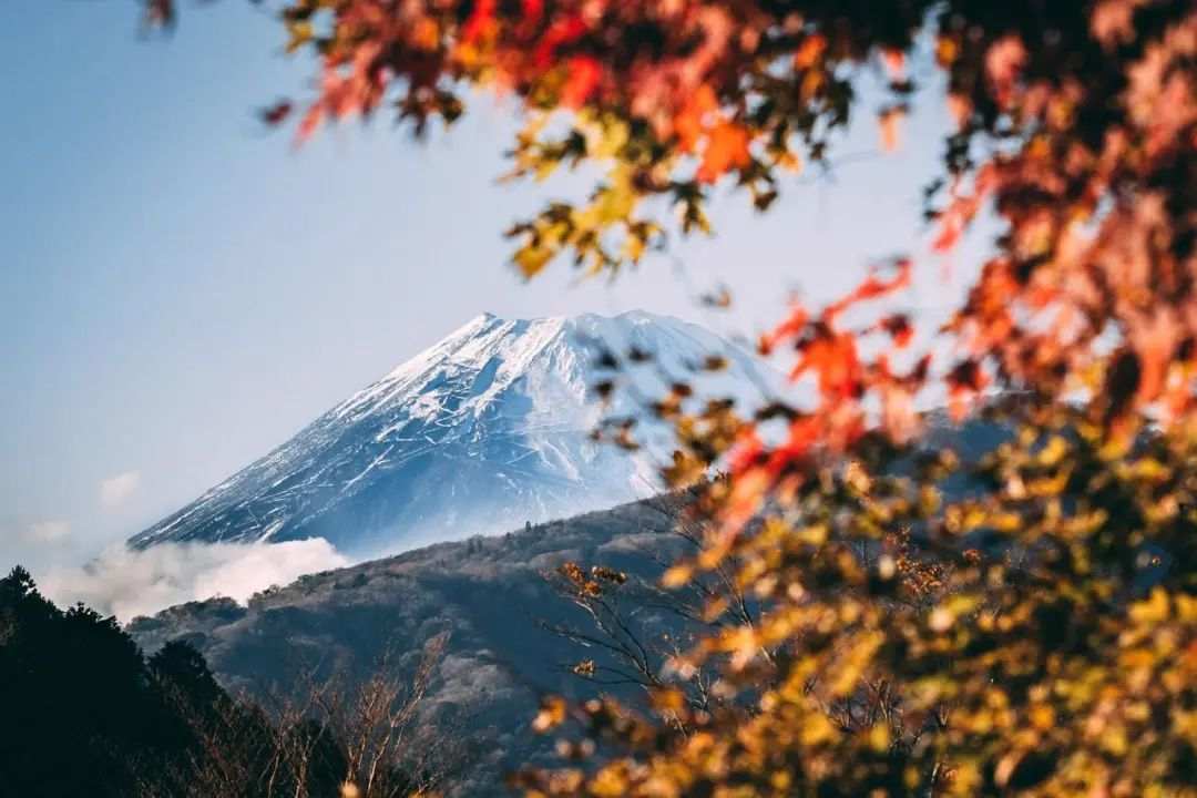 订阅费 实盘 网红 观摩 个人账户 迷路