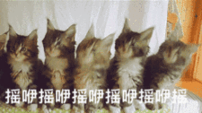 宝藏交易商 ATFX 入驻 FOLLOWME,亮了!