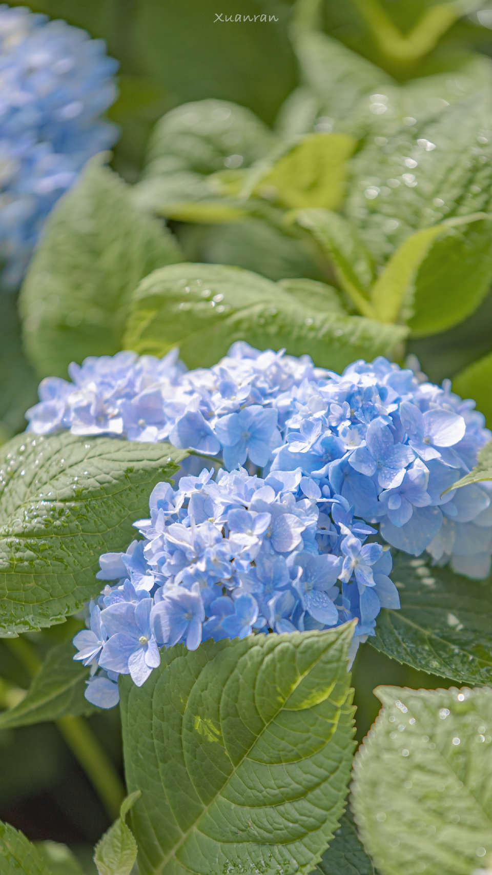 年6月9日美国开市前 每天技术分析 From 沙漠帝国 Followme Trading Community