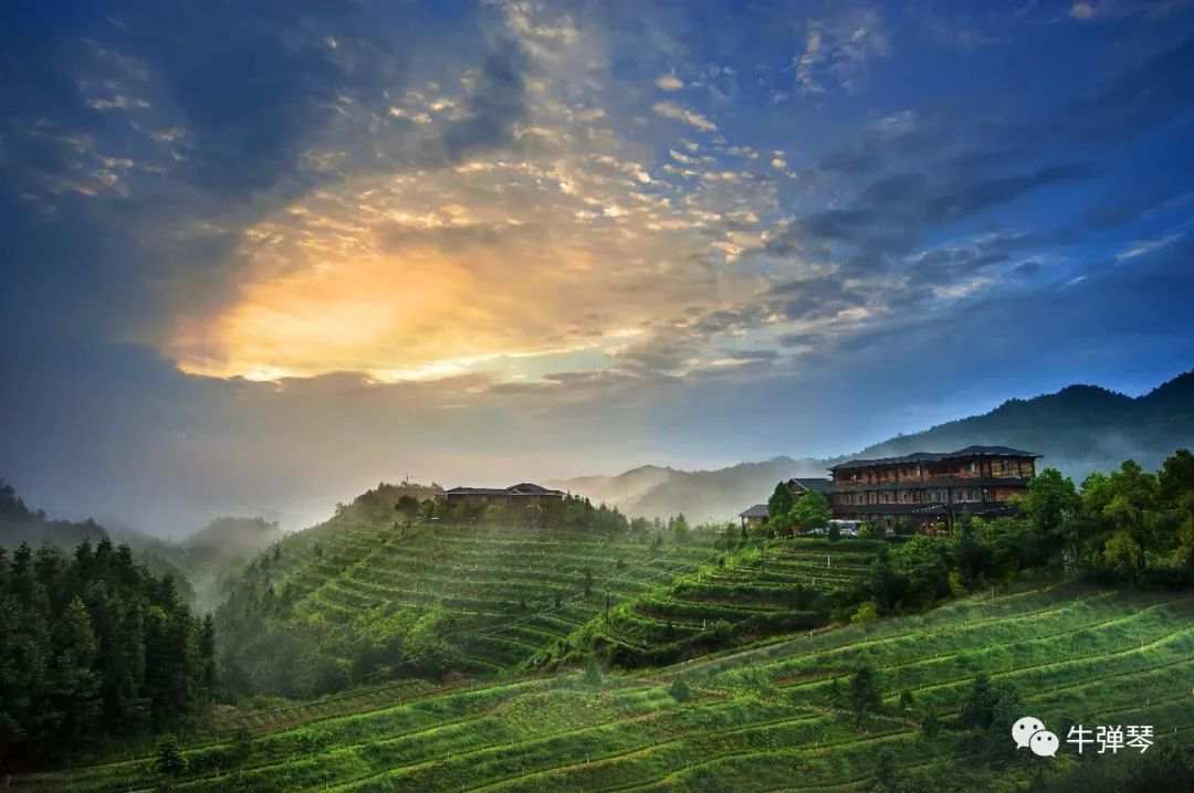 华祥苑 品牌 中国 茶叶 庄园 大国