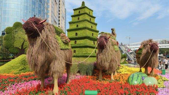 欧亚 对接 中俄 合作 战略 地区
