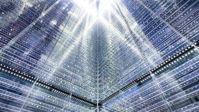 施华洛 世奇 孙珏 水晶 博会 中国