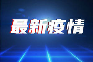 猪头 病例 搬卸 海联 阳性 外包装