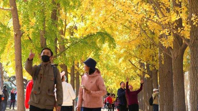 入冬 冰点 最低气温 气温 气象台 北京