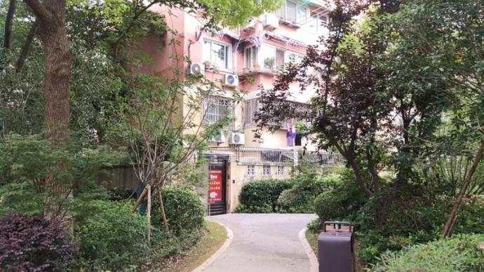公园 绿地 绿道 上海 口袋 空间