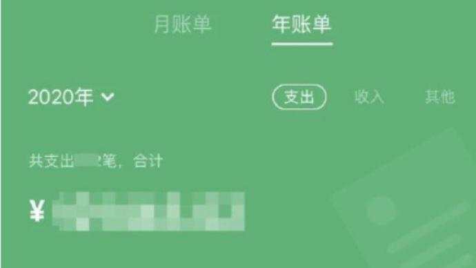 账单 微信 澎湃 上线 支出 网友