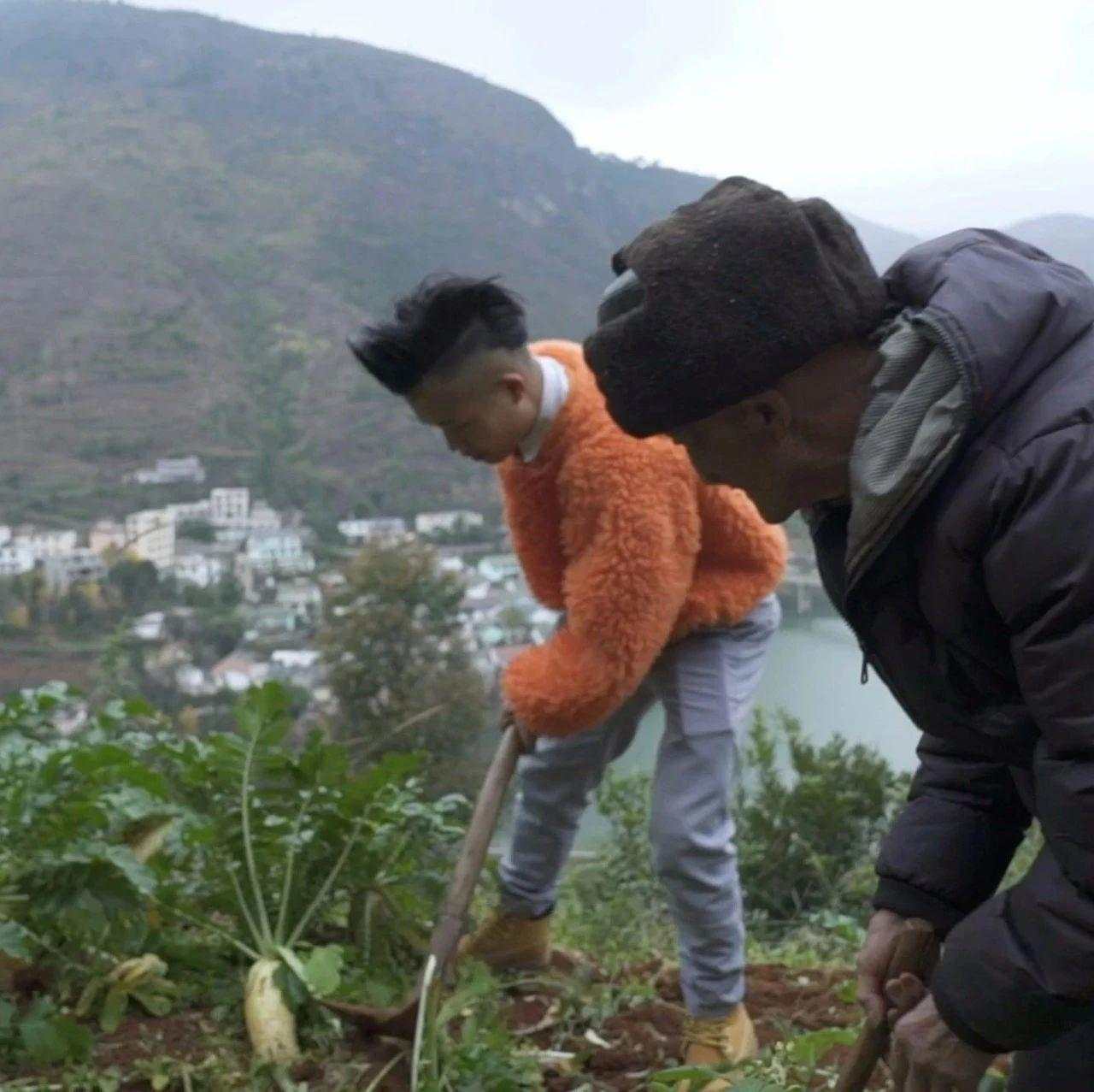 李荣富 马特 西陇村 直播 乌鸡 普安县