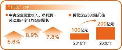 市场主体 企业 改革 营商 民营企业 降费