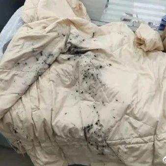 泼墨 恶意 嫌疑人 陕西 廖某 侦办