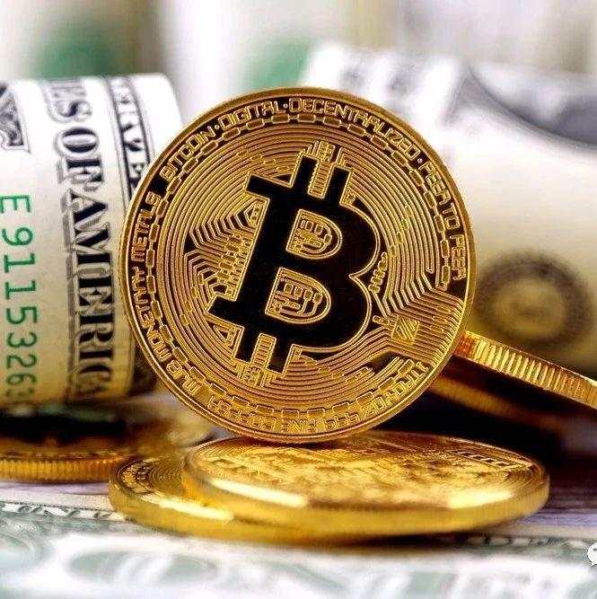 比特 投资者 货币 投资 散户 买入