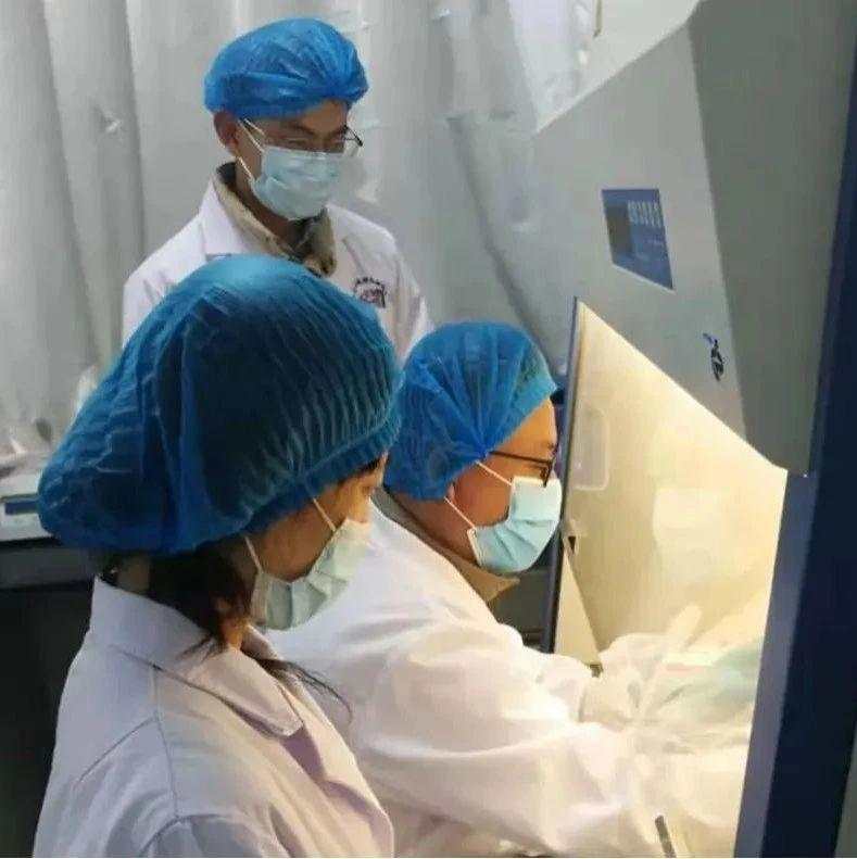 病例 新冠 英国 测序 序列 山东省