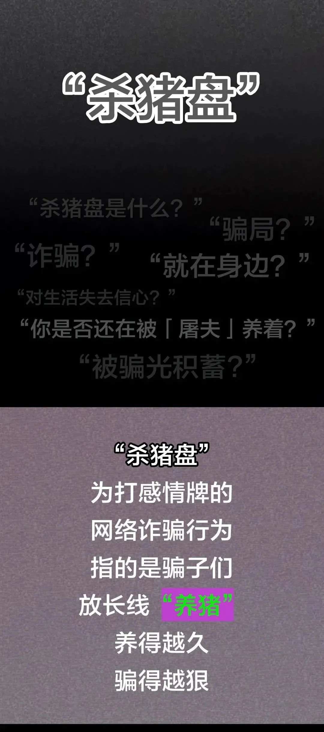 诈骗 杀猪 小琳 刘磊 交友 警方