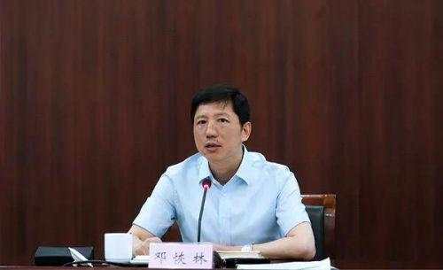 邓恢林 湖北省 政法委 重庆市政府 公安局 局长
