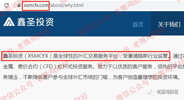 注册 监管 公司 维尔京群岛 塞浦路斯 投资