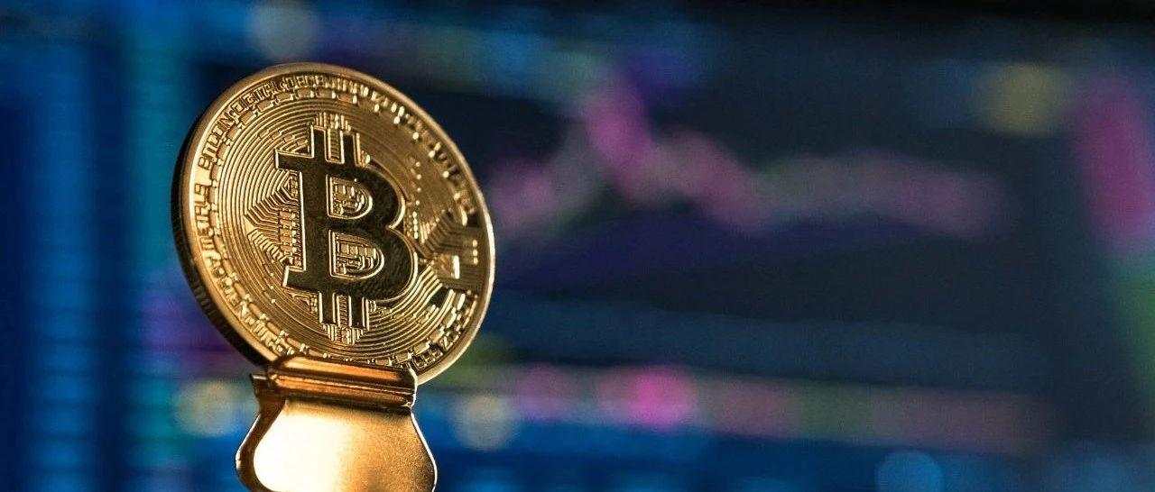 比特 抱团 风险 金龙鱼 加密 大跌