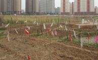 用地 住宅 出让 集中 规划局 发布