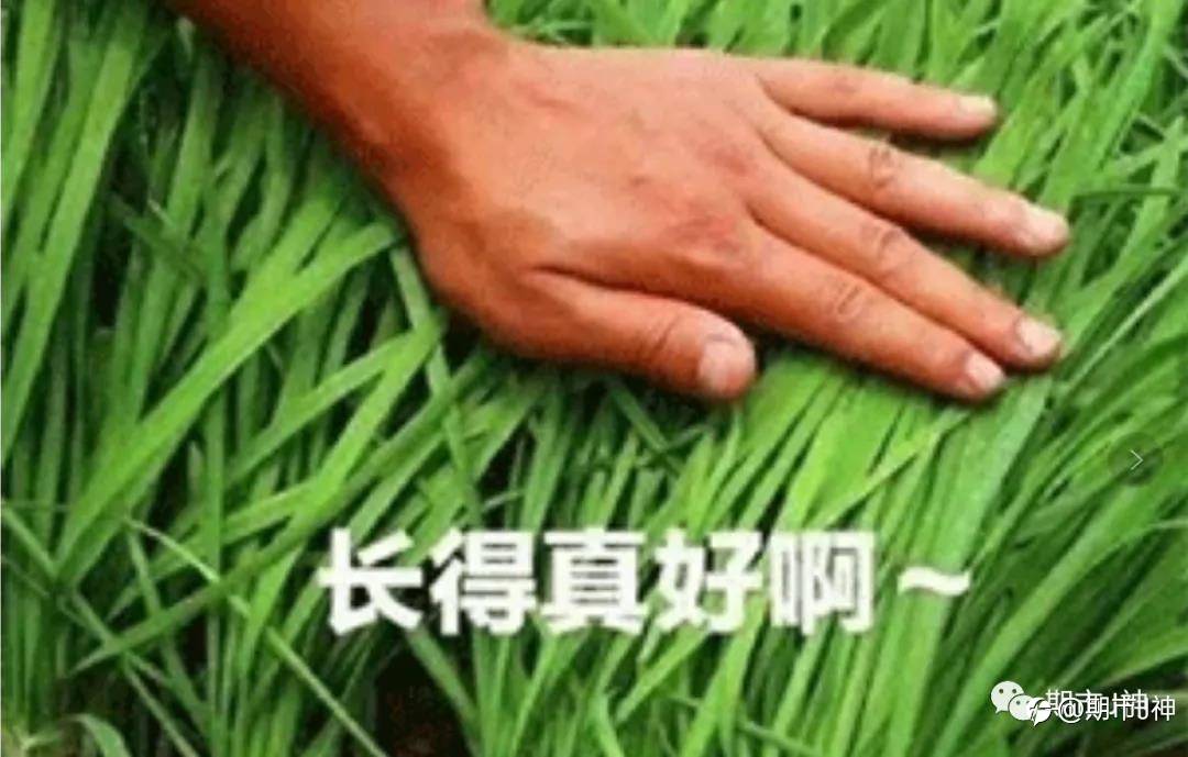 通往交易成功的道路,漫长但不拥挤