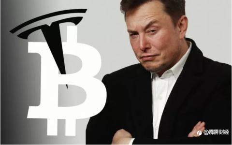 特斯拉叫停比特币购车,谁会是马斯克的下一个宠儿?