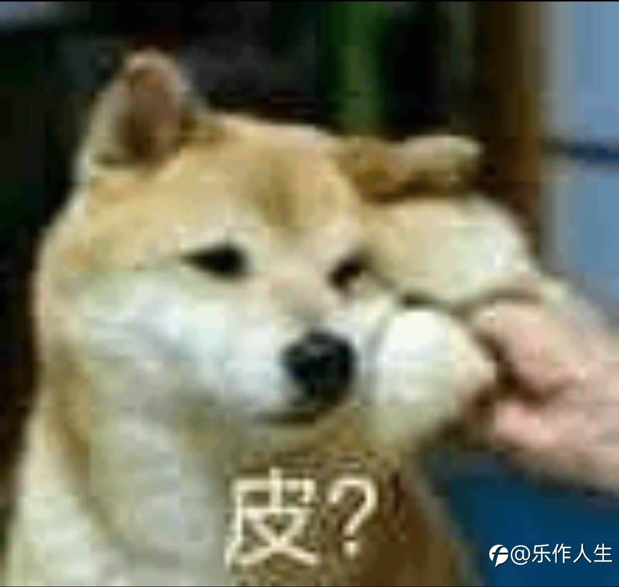 今日总结