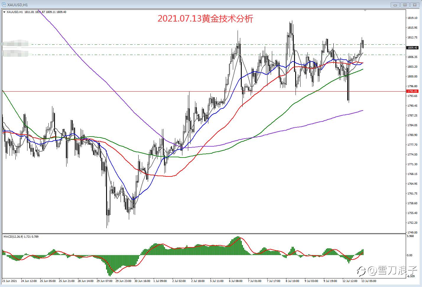 2021.07.13黄金技术分析