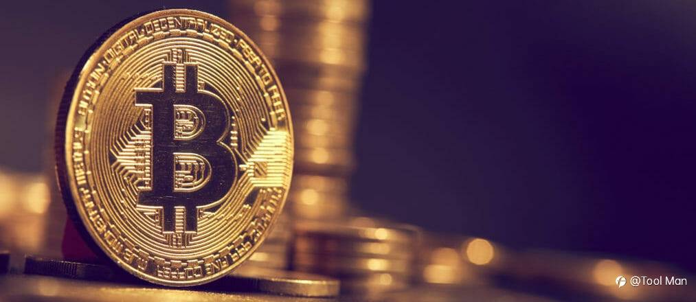 Will Bitcoin End Like a Tulip?