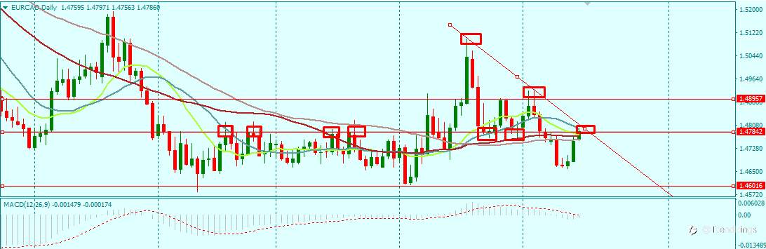 EURCAD DAILY HITS A DECISION ZONE FOR THE WEEK 16/8