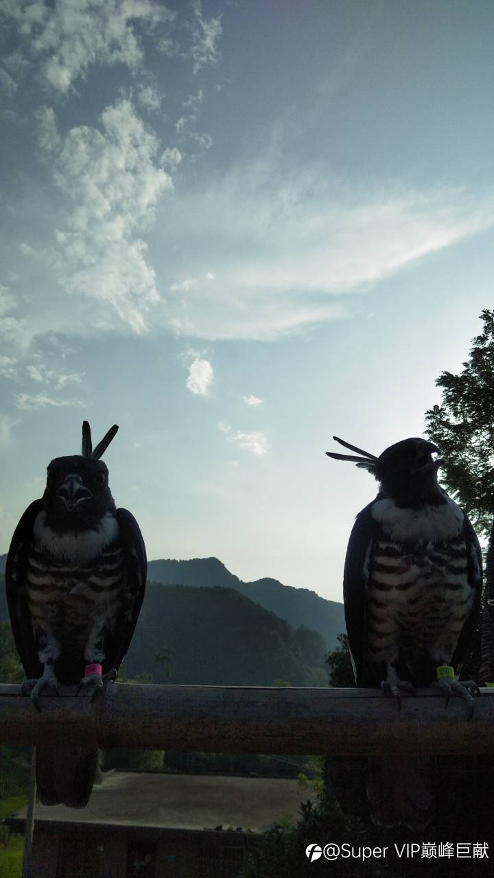 高调交易,低调做人