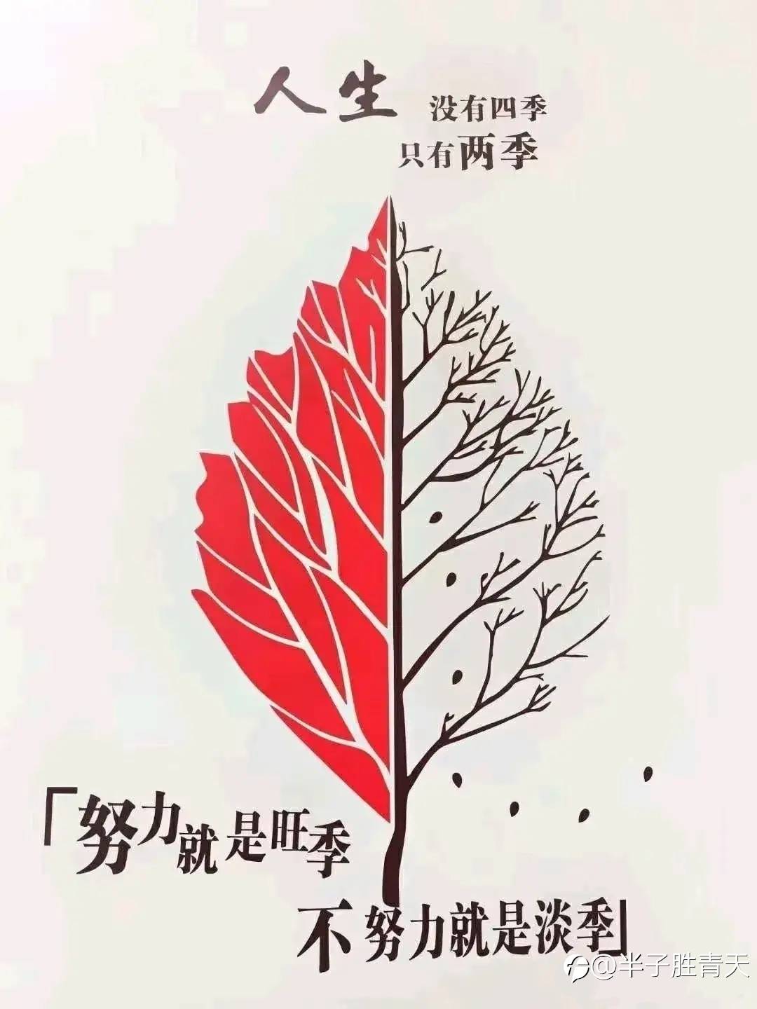 交易系统只是握在你手里的武器,执行才是至高的心法