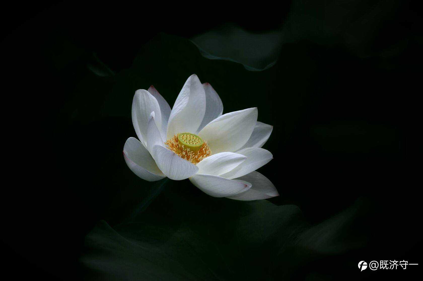 心有妄念,正是修心守正的时机