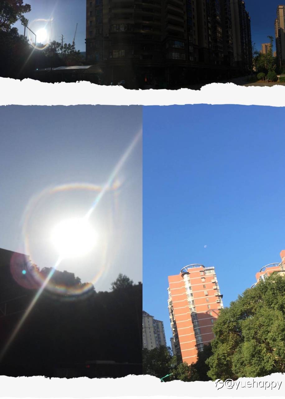 2021.11.24打卡 接受震荡,那是顺势交易者的放松休养时间段