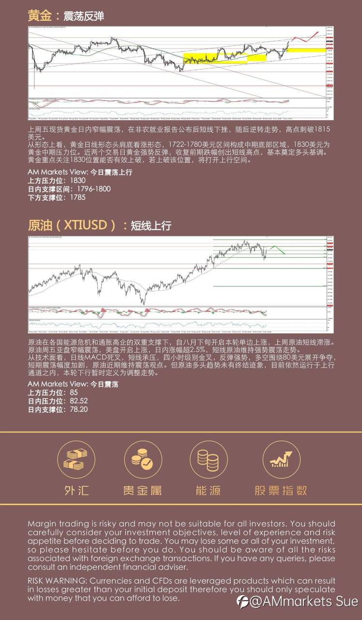 11.08AMMARKETS分析报告(非美震荡加剧,黄金强势上行)
