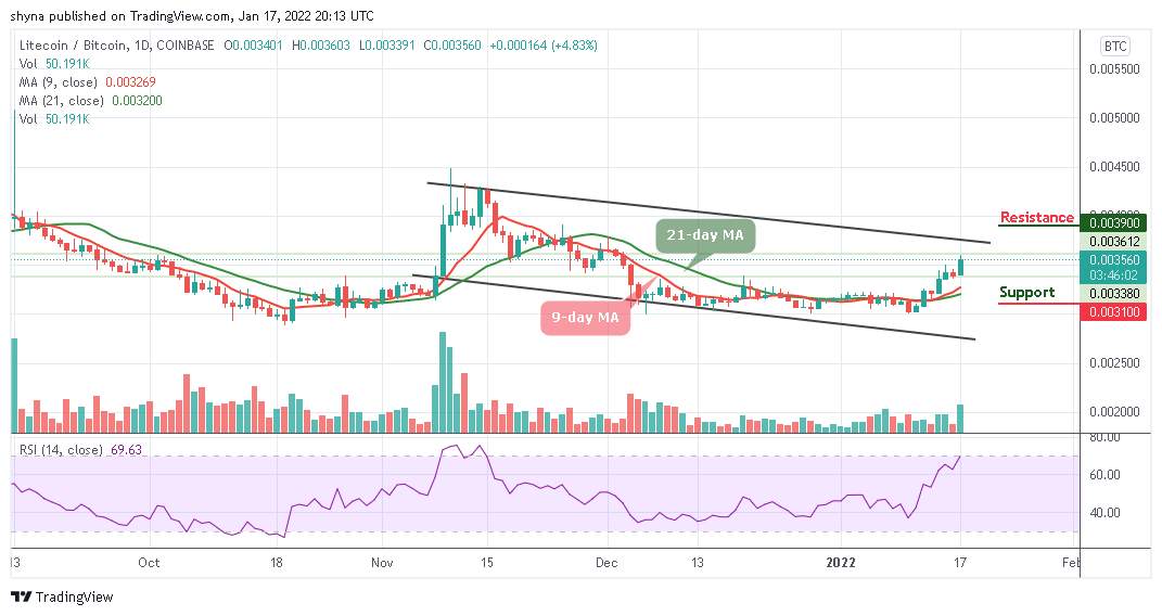 Litecoin Price Prediction: LTC/USD Grows 2.42% as Price Nears $155 Level