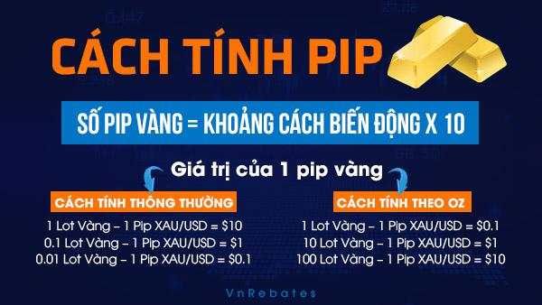 Cách tính Lot, Pip của Vàng? 1 Pip XAUUSD là bao nhiêu?