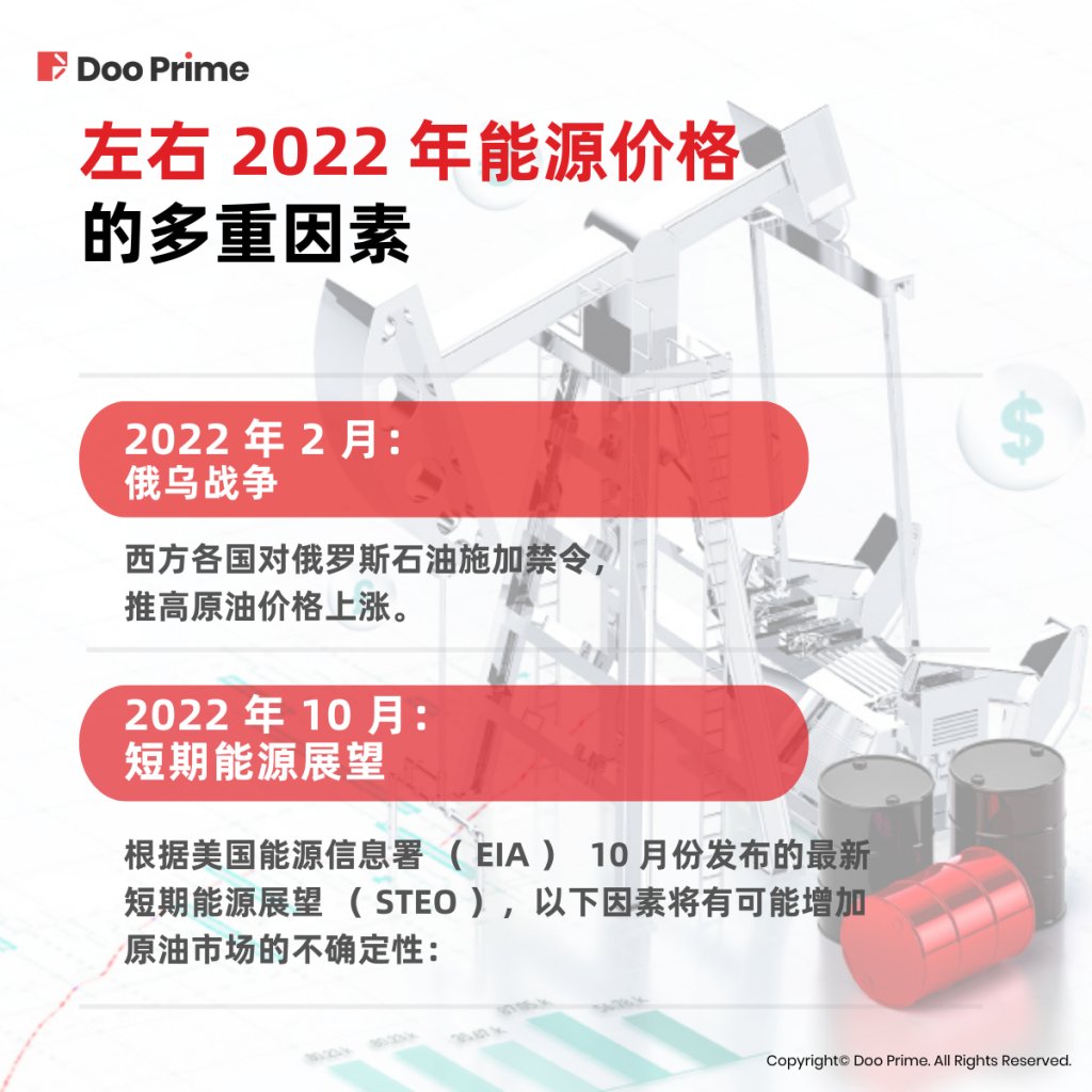 实用教程 | 回首过去，展望未来：2022 年能源走势