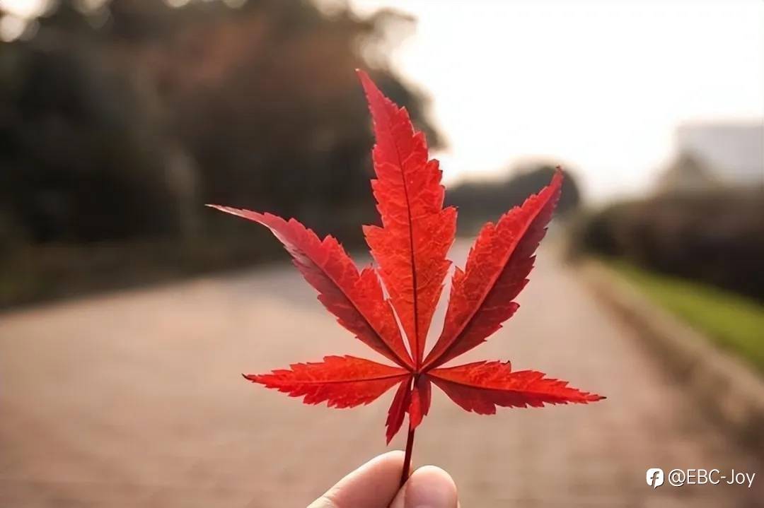 EBC温馨提醒今晚9:30数据行情